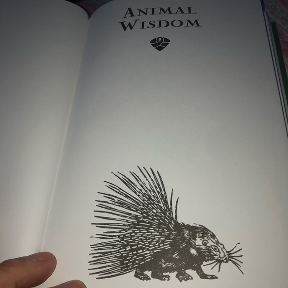 Animal Wisdom Book by Susie Green - Picture 4 of 9